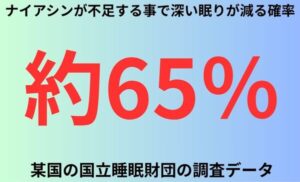 ナイアシンが不足する事で深い眠りが減る確率