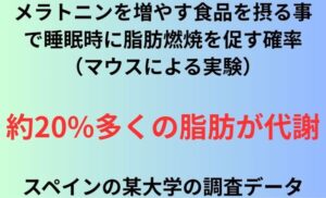 メラトニンを増やす食品を摂る事で睡眠時に脂肪燃焼を促す確率