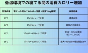 低温環境での寝てる間の消費カロリー増加