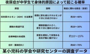 夜尿症が中学生で身体的原因によって起こる確率