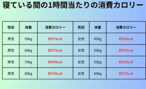 寝ている間の1時間当たりの消費カロリー
