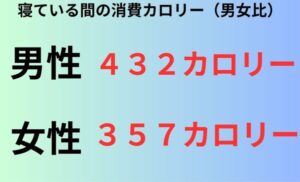 寝ている間の消費カロリー（男女比）