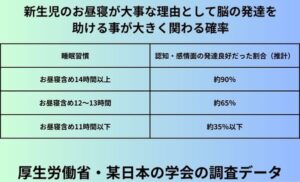 新生児のお昼寝が大事な理由として脳の発達を助ける事が大きく関わる確率