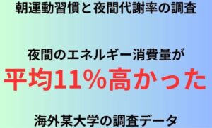 朝運動習慣と夜間代謝率の調査