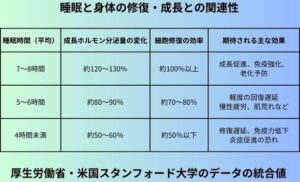 睡眠と身体の修復・成長との関連性