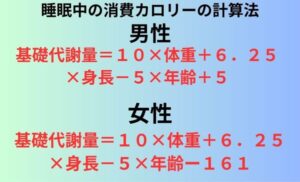 睡眠中の消費カロリーの計算法