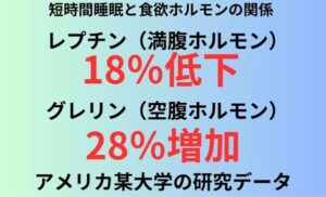短時間睡眠と食欲ホルモンの関係