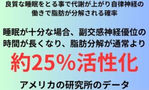 良質な睡眠をとる事で代謝が上がり自律神経の働きで脂肪が分解される確率