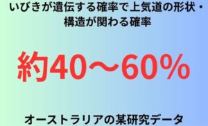 いびきが遺伝する確率で上気道の形状・構造が関わる確率