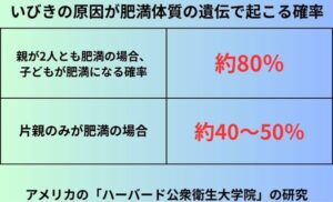 いびきの原因が肥満体質の遺伝で起こる確率