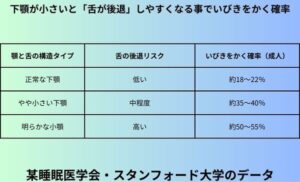 下顎が小さいと「舌が後退」しやすくなる事でいびきをかく確率