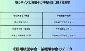 顎のサイズと睡眠中の呼吸制御に関する影響